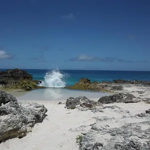 https://studio-hibiscus-le-kayela.comcaribbean.com
